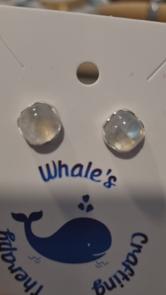Moonstone Studs