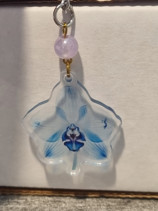 X-Ray Animals Keychain