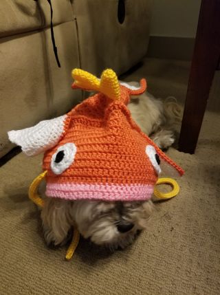 Magikarp Beanie