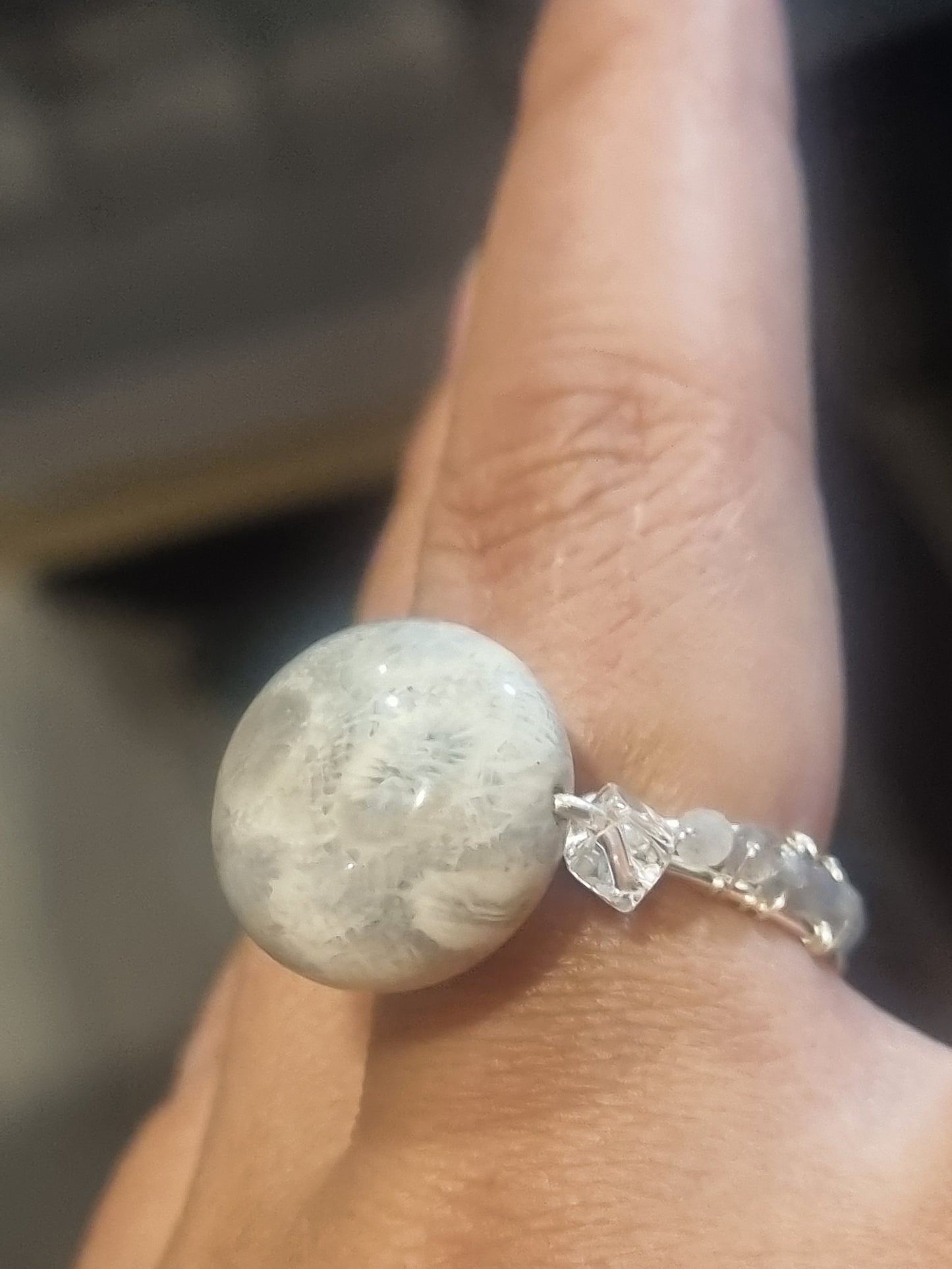 Gray Fossil Coral Jade